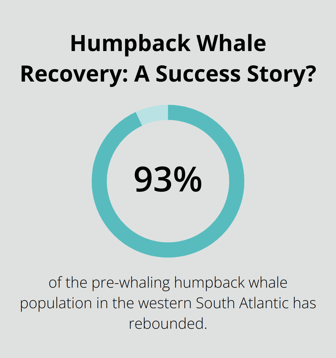 Infographic: Humpback Whale Recovery: A Success Story?